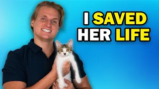 I rescued a kitten & THIS happened