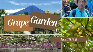 Harvesting Joy: Journey from Grapevines to Mount Fuji Japan