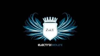 ZokY - Love and House remix (avicii & dyro)