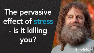 #51 – Robert Sapolsky, Ph.D.: The pervasive effect of stress – is it killing you?