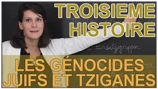 Les génocides Juifs et Tziganes - Histoire - 3e - Les Bons Profs