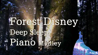 Disney Piano Collection "Forest Disney" for Deep Sleep, Relaxing and Soothing(No Mid-roll Ads)