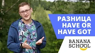 Разница Have or Have got