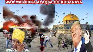 DAWO CIIDAMADA YUHUUDA OO WEERARAY MASAJIDKA AL-AQSA QUDUS & CARUUR YARYAR OO LAGU LAYEY ( UDUCEYA..