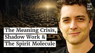 The Meaning Crisis, Shadow Work & the Spirit Molecule, Alexander Beiner