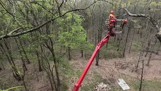 92' spider lift pruning trees in high winds