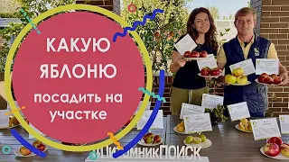 Какую яблоню посадить на участке? Выбор сорта яблони для любимого сада