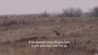 Saskatchewan Mule Deer Hunt