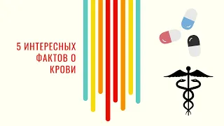 5 интересных фактов о крови