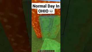 NORMAL DAY IN OHIO💀 #minecraft #minecraftshorts #shorts #ohio #meme