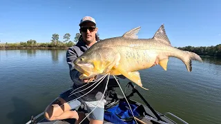 4 PB's in one session!! Jigging soft vibes for MASSIVE Threadfin Salmon!