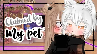 ✨Claimed by my pet✨ GCMM//Gacha club mini movie