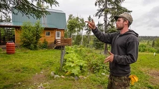 Off The Grid In Alaska ~ A Tiny Home & Farm In The Alaska Bush ~ Full Tour