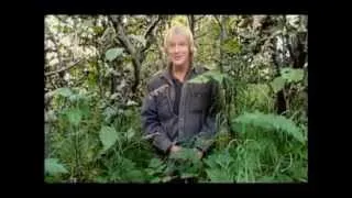 Grizzly Man promo. Discovery.