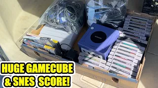 I bought a CHILDHOOD COLLECTION!! / Live Video Game Hunting