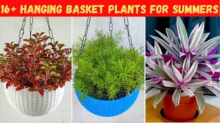मई में लगाएं, गर्मियों में तेज़ी से फैलने वाले 16+ Hanging basket plants | Permanent hanging Baskets