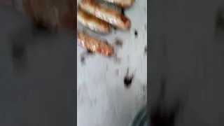 Sausages scream for their lives..