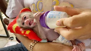 Baby Monkey DORN Push The Bottle Out When He Done Drink