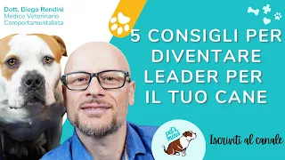 5 consigli per diventare leader per il tuo cane