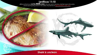 WATCH & READ | Leviticus Chapter  11: Clean and Unclean