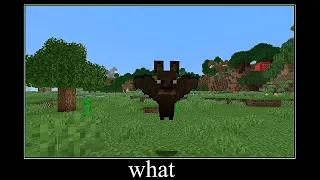 Minecraft wait what meme part 52 (Big bat)