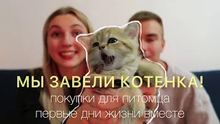 МЫ ЗАВЕЛИ КОТЕНКА // первые дни с ним / покупки для малыша 💗