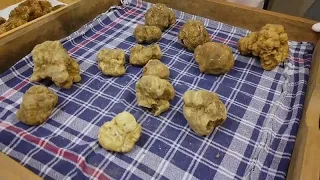 Alba's famous truffle fair held online amid COVID restrictions in Italy