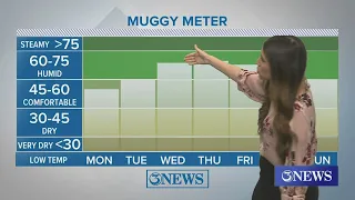 Everything increasing: temps, humidity, cloud cover, and rain chances