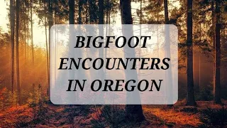 Bigfoot Encounters In Oregon