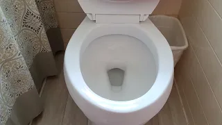 Once a year toilet bowl cleaning secret revealed! It really works!