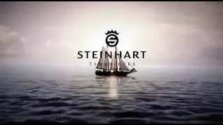 Обзор часов Steinhart Marine Chrono II