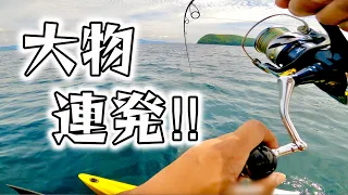 本日も大漁！ボート釣りで釣れる魚はデカくて楽しい！