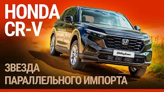 Тест-драйв новой Honda CR-V из Китая