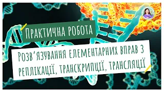 Практична робота. Розв'язування елементарних вправ з реплікації, транскрипції, трансляції