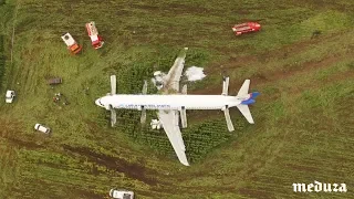 Пассажиры А321 после посадки на кукурузное поле в Жуковском