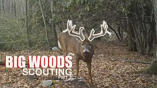 BIG WOODS DEER SCOUTING how to HUNT MOUNTAIN BUCKS! Part 3 -Mapping Public Land Whitetail Deer in PA