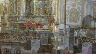 Eucaristía Viernes  27  de  Mayo  de  2022 -  3:00  pm  Basílica Señor de los  Milagros de Buga.