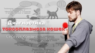 Диагностика токсоплазмоза кошек