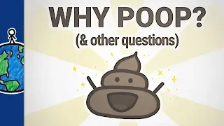 Why Do You Make So Many Poop Videos? (& Other Questions)