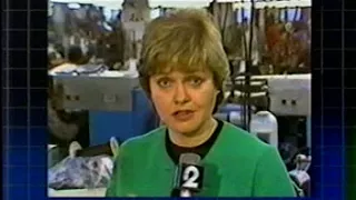 WCBS NY NEWS PROMO-1984-Betsy Ashton