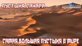 Пустыня Сахара / Самая большая пустыня мира