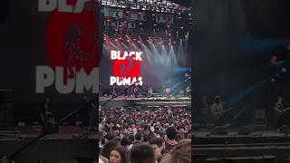 OCT 33 - Black Pumas (Lollapalooza Brasil 2022)