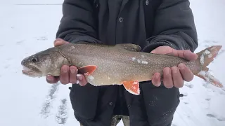 Hunting for Monster Lake Trout at Lake Granby Colorado! 2021 Ice Fishing