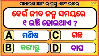 ସାଧାରଣ ଜ୍ଞାନ // Odia gk// Odia quiz Odia general nalej  Sadharan gyan  Odia general knowledge