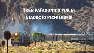 Tren Patagónico 2023 - La 9070 y B819 siguen dando batalla!