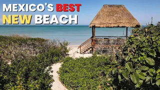 NO ONE KNOWS THIS! Mexico's Best Beach Sisal, Yucatan