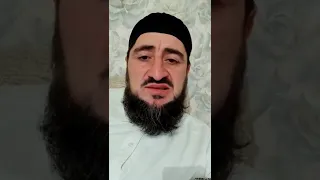 анзор масхадов лучше извинись перед Чеченским народом за своего отца