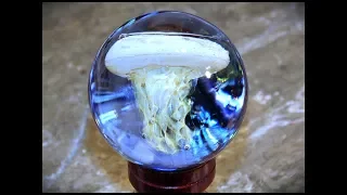 Make a Jellyfish Marble with Fumed Glass Tentacles and Dichroic Glass Video - Shawn Tucker Art Glass