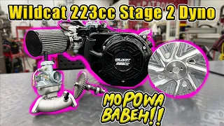 Wildcat 223cc Stage 2 Build, Dyno, & Run