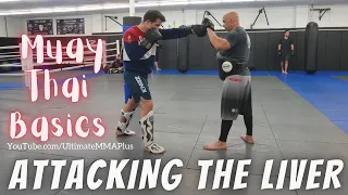 Attacking the Liver - Muay Thai Basics